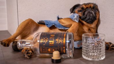 Rock’n’Roll Spirit Brands – Der Alkohol der Musikstars
