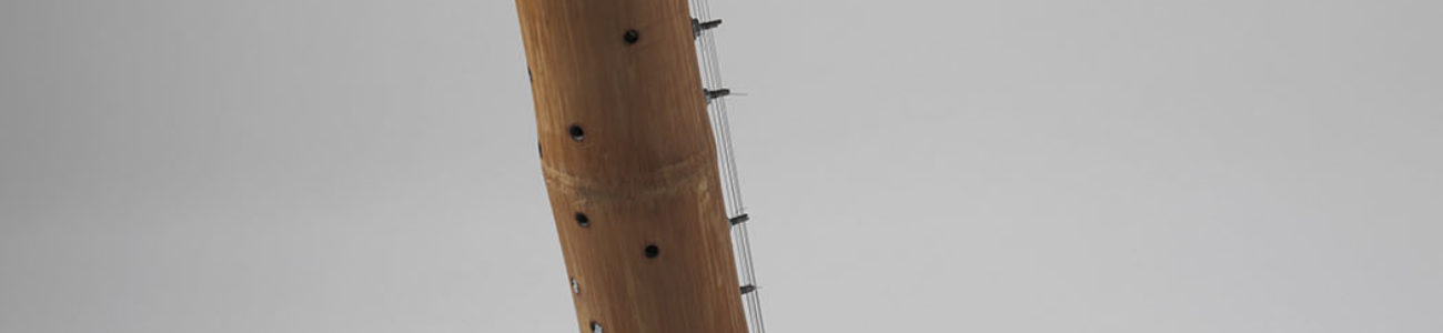 Đàn tre – Ein ganz besonderes Musikinstrument aus Bambus
